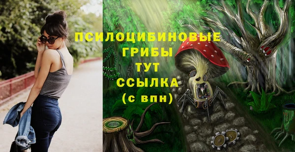 мдпв Нефтегорск